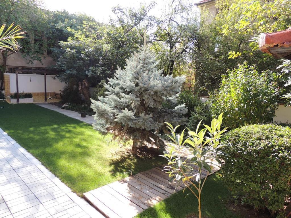 Fantasy Apartaments And Studios Avenue Комплекс Фантазия Хисаря Esterno foto